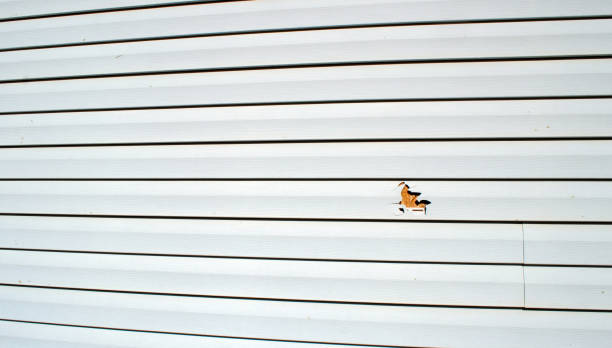 Best Siding Painting and Refinishing  in Cliffside Park, NJ